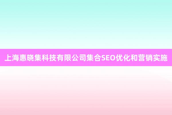 上海惠晓集科技有限公司集合SEO优化和营销实施